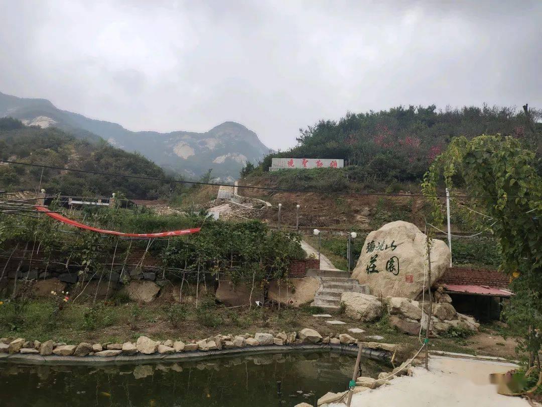 bake和cook的区别？游戏画面